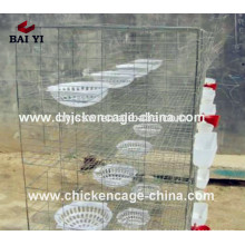 Breeding Racing Cage For Pigeon